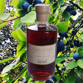 West Horsley Place Damson Gin 50cl bottle